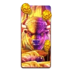 Buffalo
King